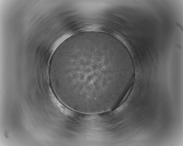 X0000100231434200805301403