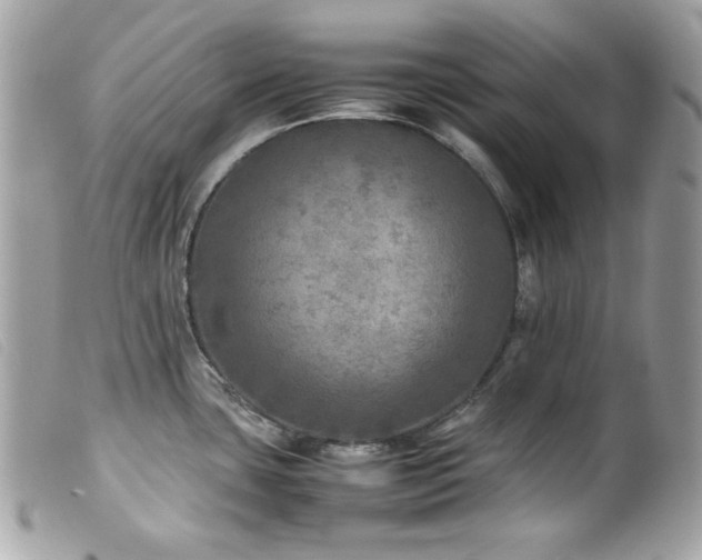 X0000100231435200805301403