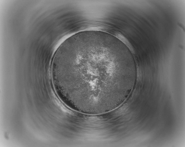 X0000100231436200805301403