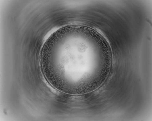 X0000100231437200805301403