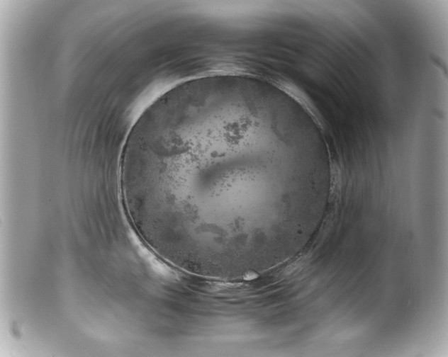 X0000100231439200805301403