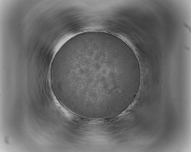 X0000100231440200805301403