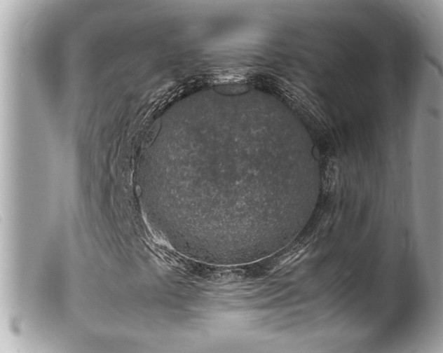 X0000100231441200805301402