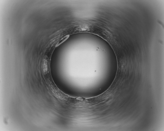 X0000100231442200805301402