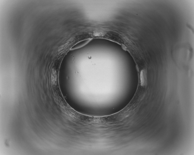 X0000100231443200805301402