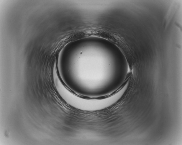 X0000100231444200805301402