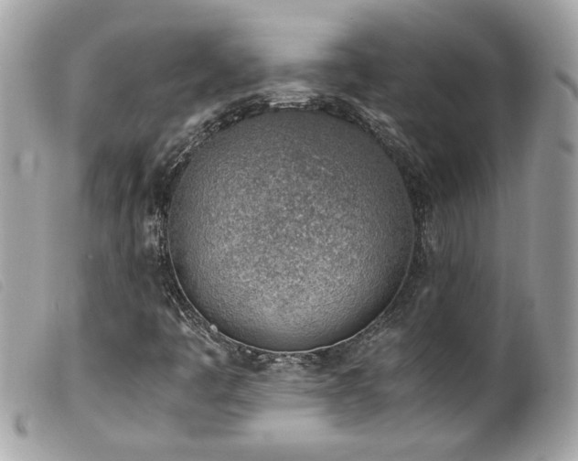 X0000100231445200805301402