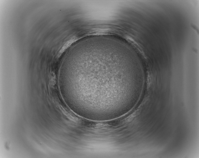 X0000100231449200805301402
