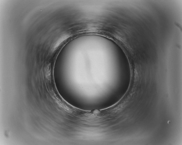 X0000100231450200805301402
