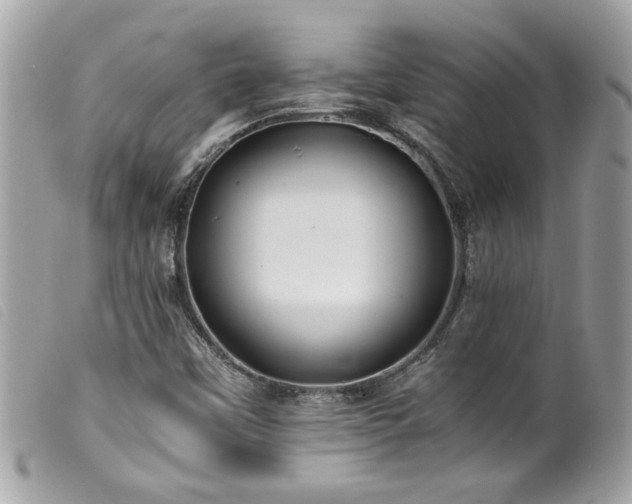 X0000100231451200805301402