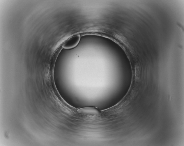 X0000100231452200805301402