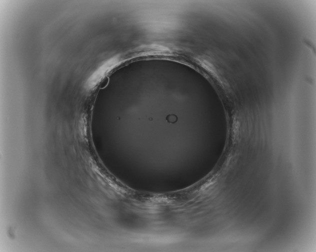 X0000100231455200805301402