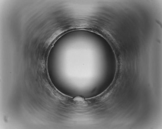 X0000100231457200805301402
