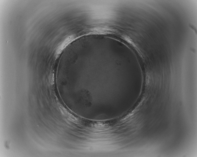 X0000100231459200805301402