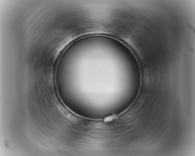 X0000100231460200805301402