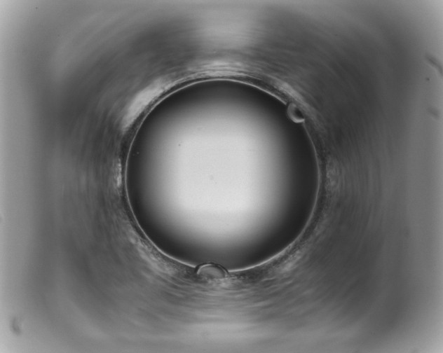 X0000100231461200805301402