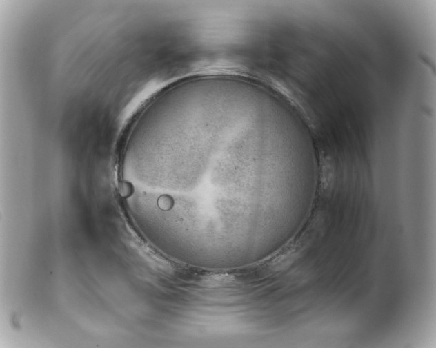 X0000100231462200805301402