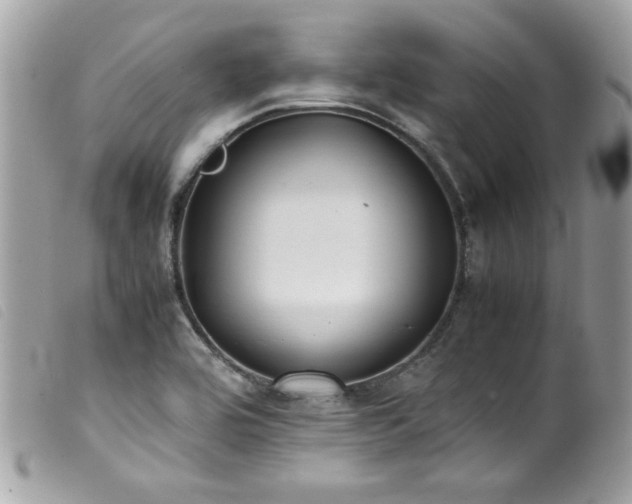 X0000100231464200805301402