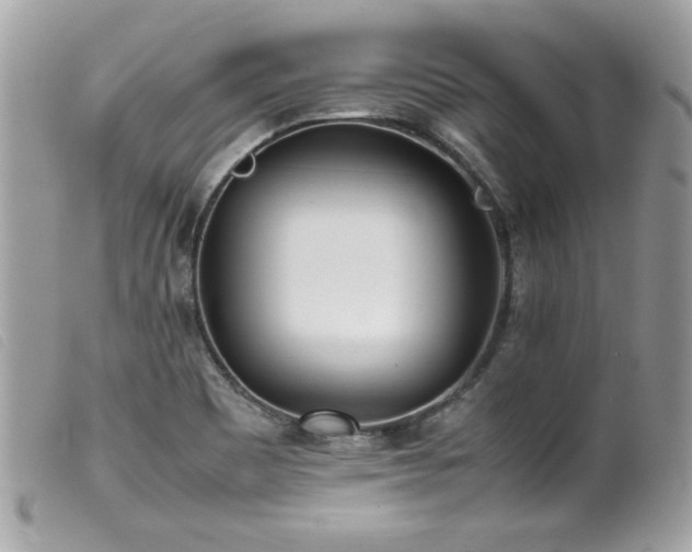 X0000100231465200805301402