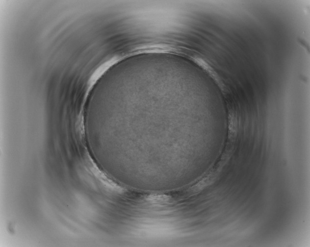 X0000100231466200805301402