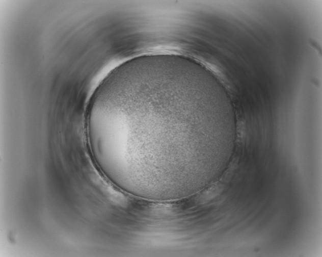 X0000100231470200805301402