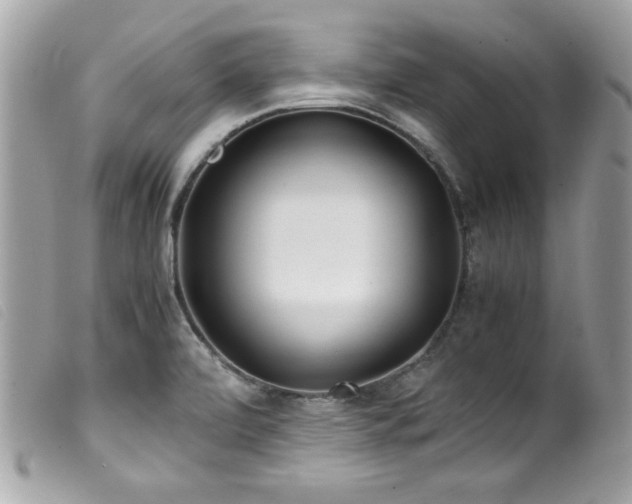 X0000100231472200805301402