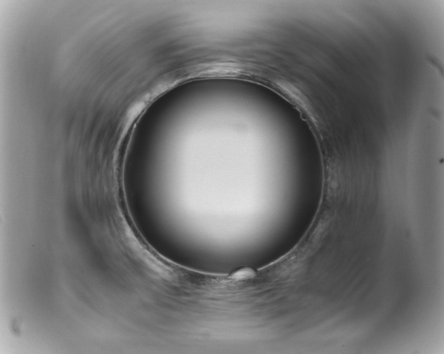 X0000100231475200805301402