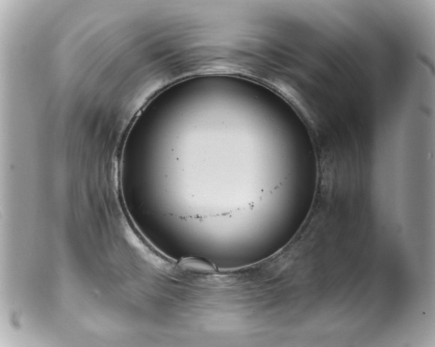 X0000100231476200805301402