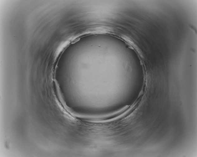X0000100231477200805301402