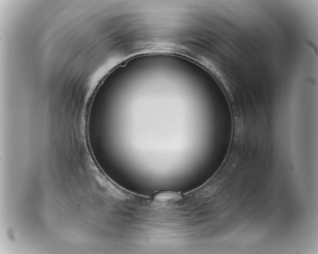X0000100231480200805301401