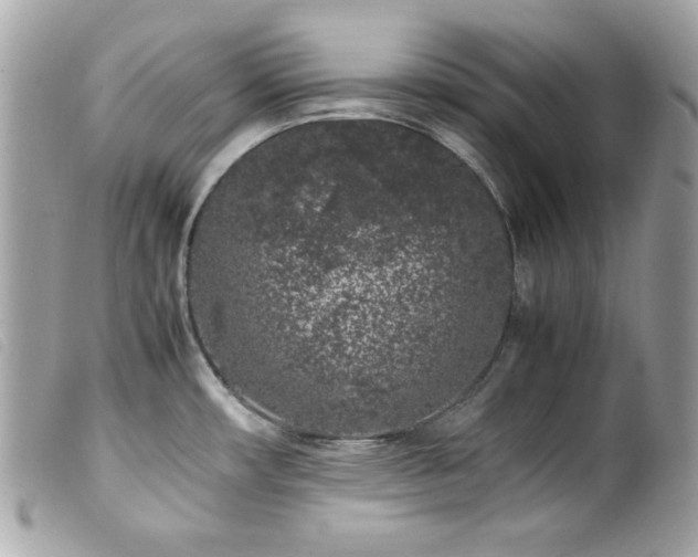X0000100231482200805301401