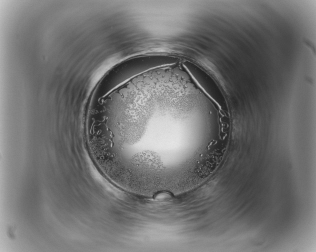X0000100231483200805301401