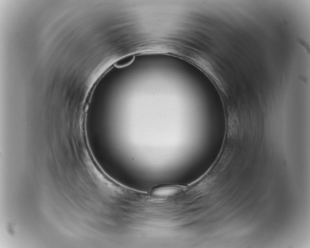 X0000100231484200805301401