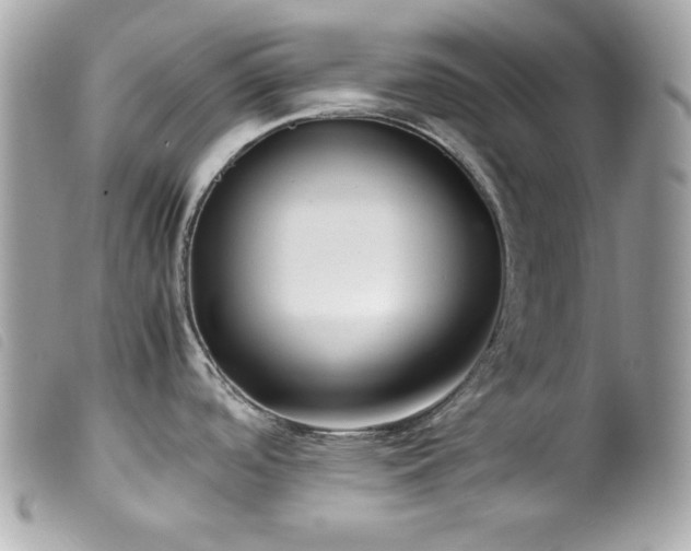 X0000100231488200805301401