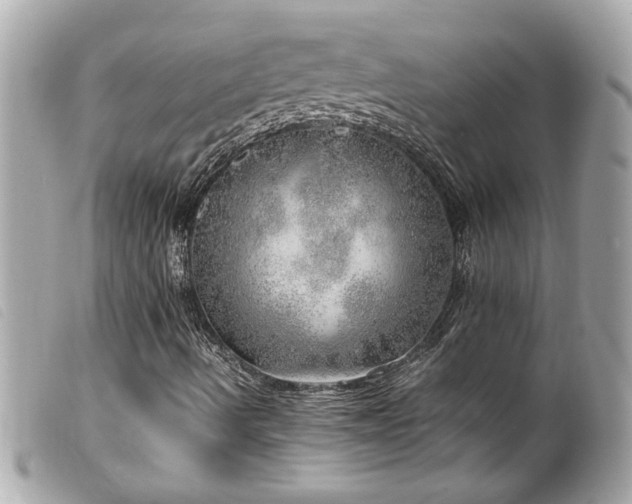 X0000100231490200805301401