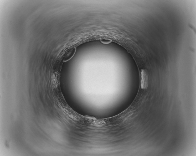X0000100231491200805301401