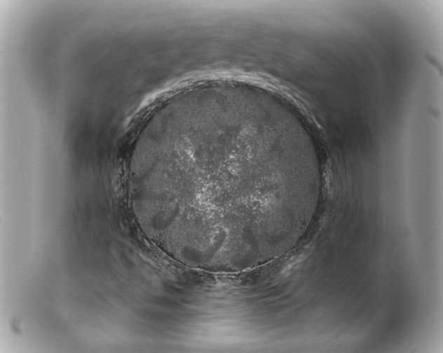 X0000100231494200805301401
