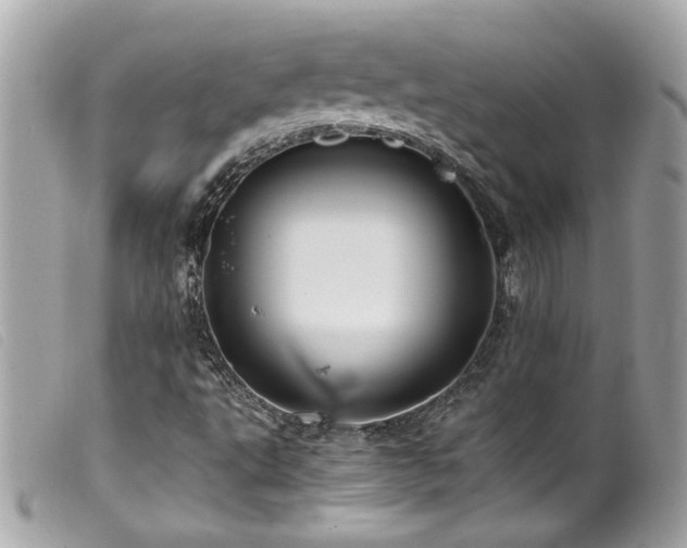 X0000100231495200805301401