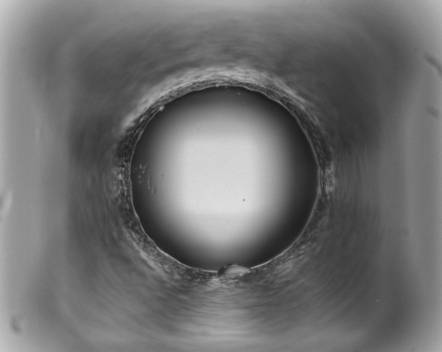 X0000100231496200805301401