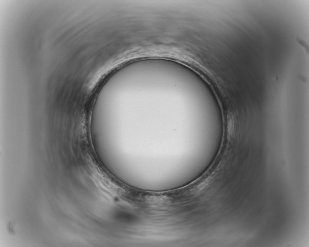 X0000100231498200805301401