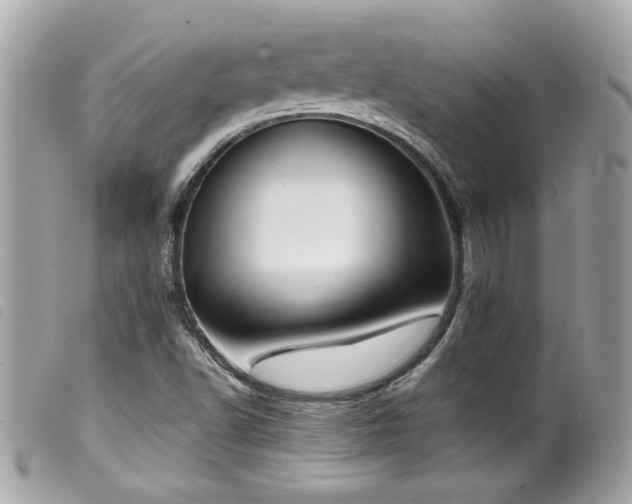 X0000100231502200805301401