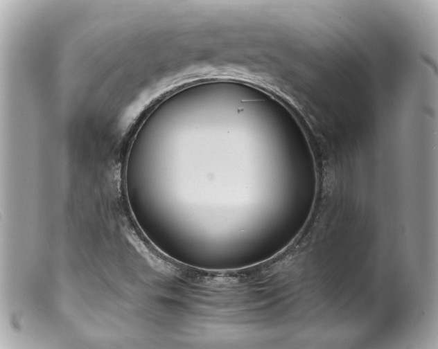X0000100231503200805301401