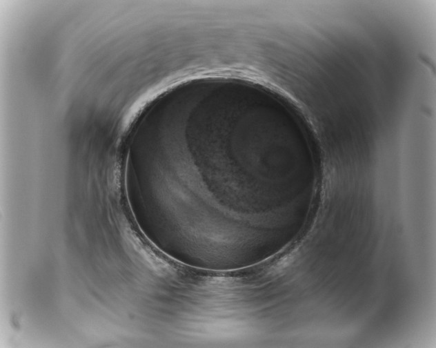 X0000100231506200805301401