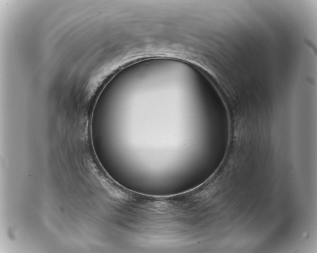 X0000100231507200805301401