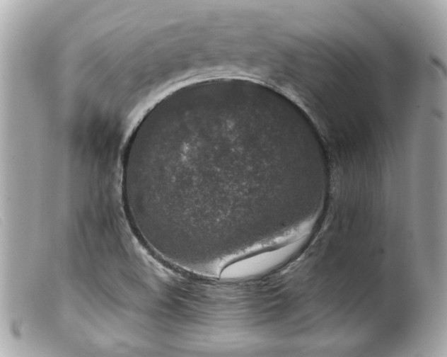 X0000100231508200805301401