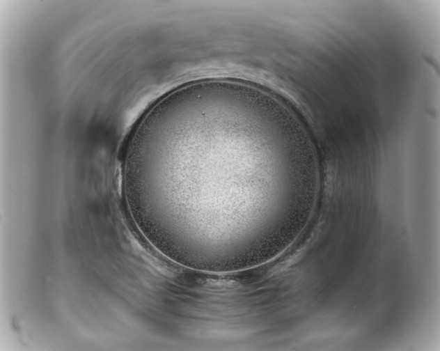 X0000100231509200805301401