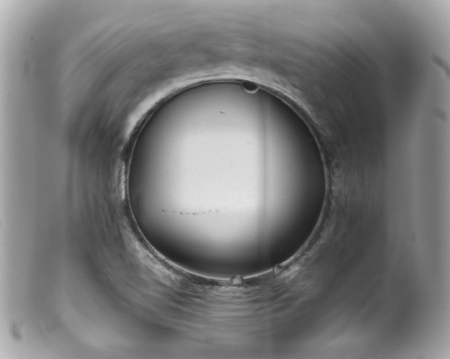 X0000100231510200805301401