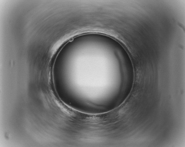 X0000100231511200805301401