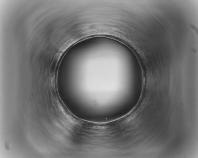 X0000100231513200805301401