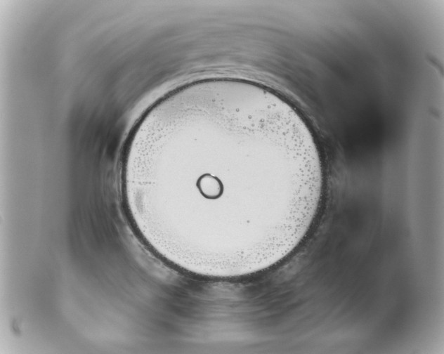 X0000100231514200805301401